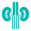 nephrology